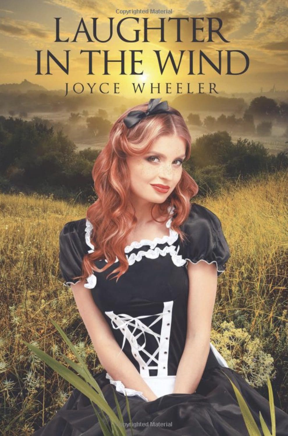 Joyce Wheeler Books Laughter In The Wind Book Cover