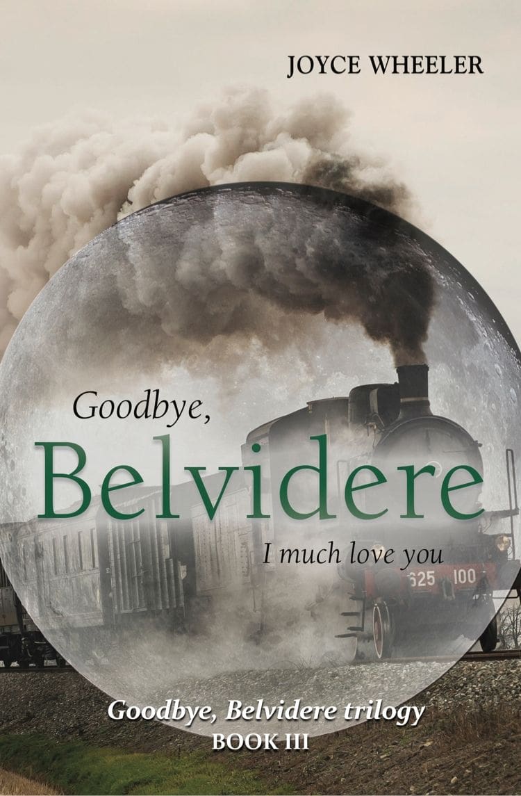 Joyce Wheeler Books Goodbye, Belvidere I much Love You Book Cover